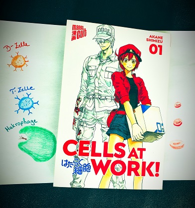 Cells at Work! 01 von Akane Shimizu