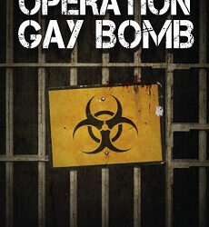 Operation Gay Bomb von Symone Hengy
