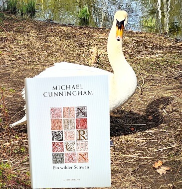 Ein wilder Schwan von Michael Cunningham