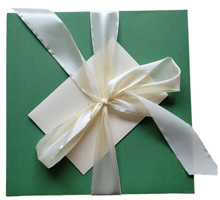 Buchpaket 'Ins hohe Gras von Trevor Noah'