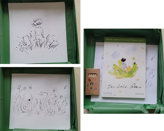 Ins hohe Gras von Trevor Noah