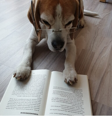 LesebuddyJackGremlinVomGeesterMoor