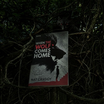 When the Wolf Comes Home von Nat Cassidy