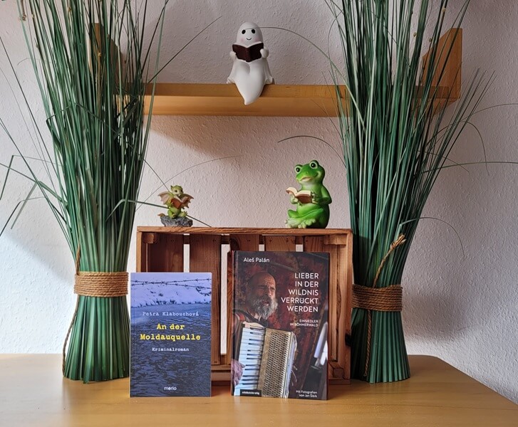 Das Unboxing: Meine Bloggerbox vom mdv & Morio Verlag