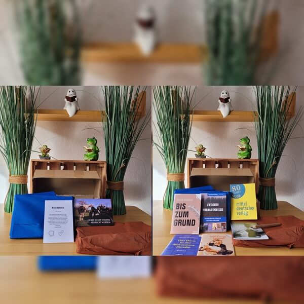 Das Unboxing: Meine Bloggerbox vom mdv & Morio Verlag